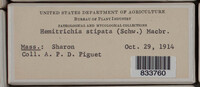 Image Associated With the Occurence